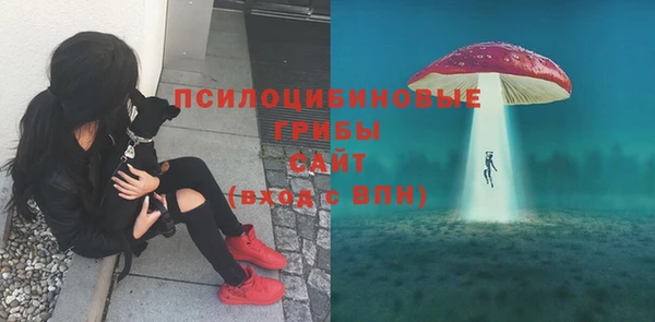 спиды Алзамай
