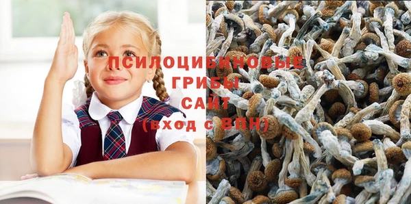 ГАЛЛЮЦИНОГЕННЫЕ ГРИБЫ Алексеевка
