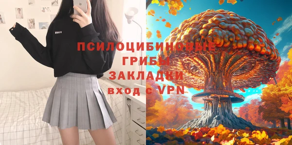 спиды Алзамай