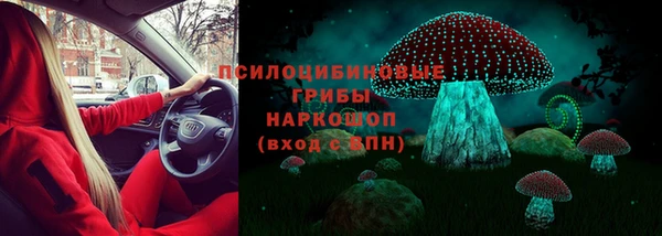 спиды Алзамай