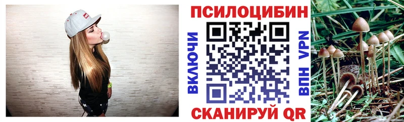 Галлюциногенные грибы ЛСД  купить   Цивильск 